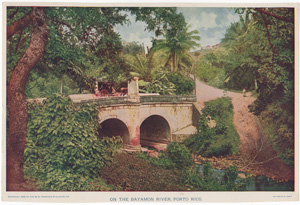 ON THE BAYAMON RIVER, PORTO RICO